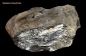 Preview: Hexenshop Dark Phönix Septarie Mirabeau Diamant Sisteron 475g Rohstein Halbedelstein